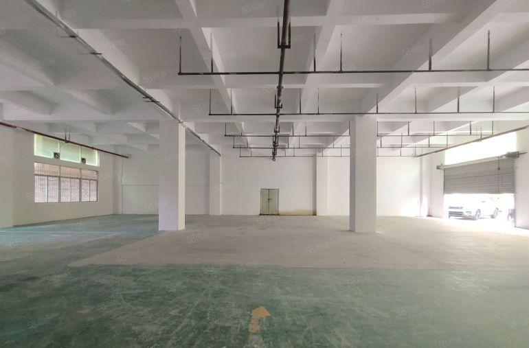 特价36元，西乡九围簕竹角，一楼带装修765平厂房，层高6米