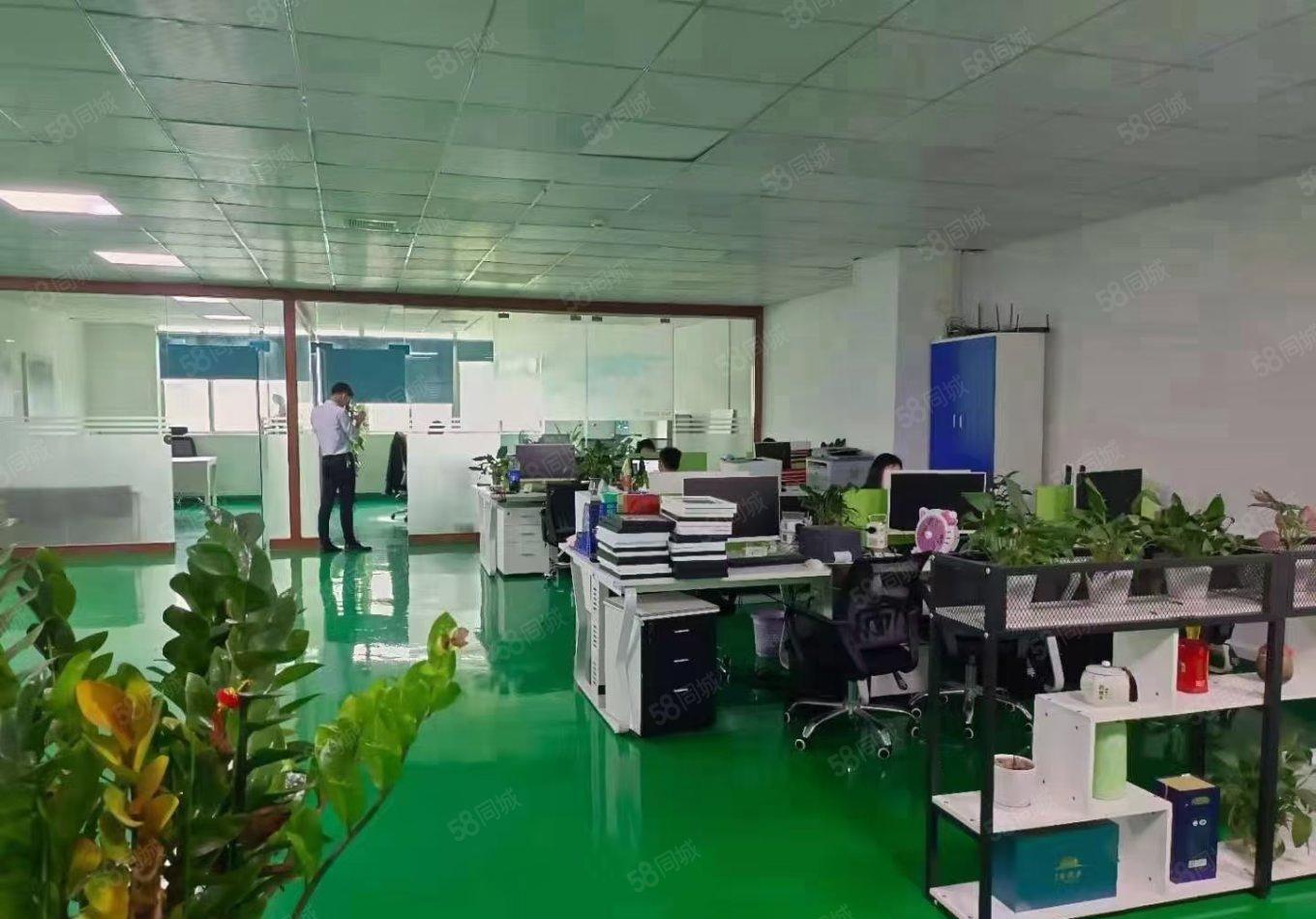 沙井地铁口1000平方精装修厂房出租分租仓库招租独院无尘车间