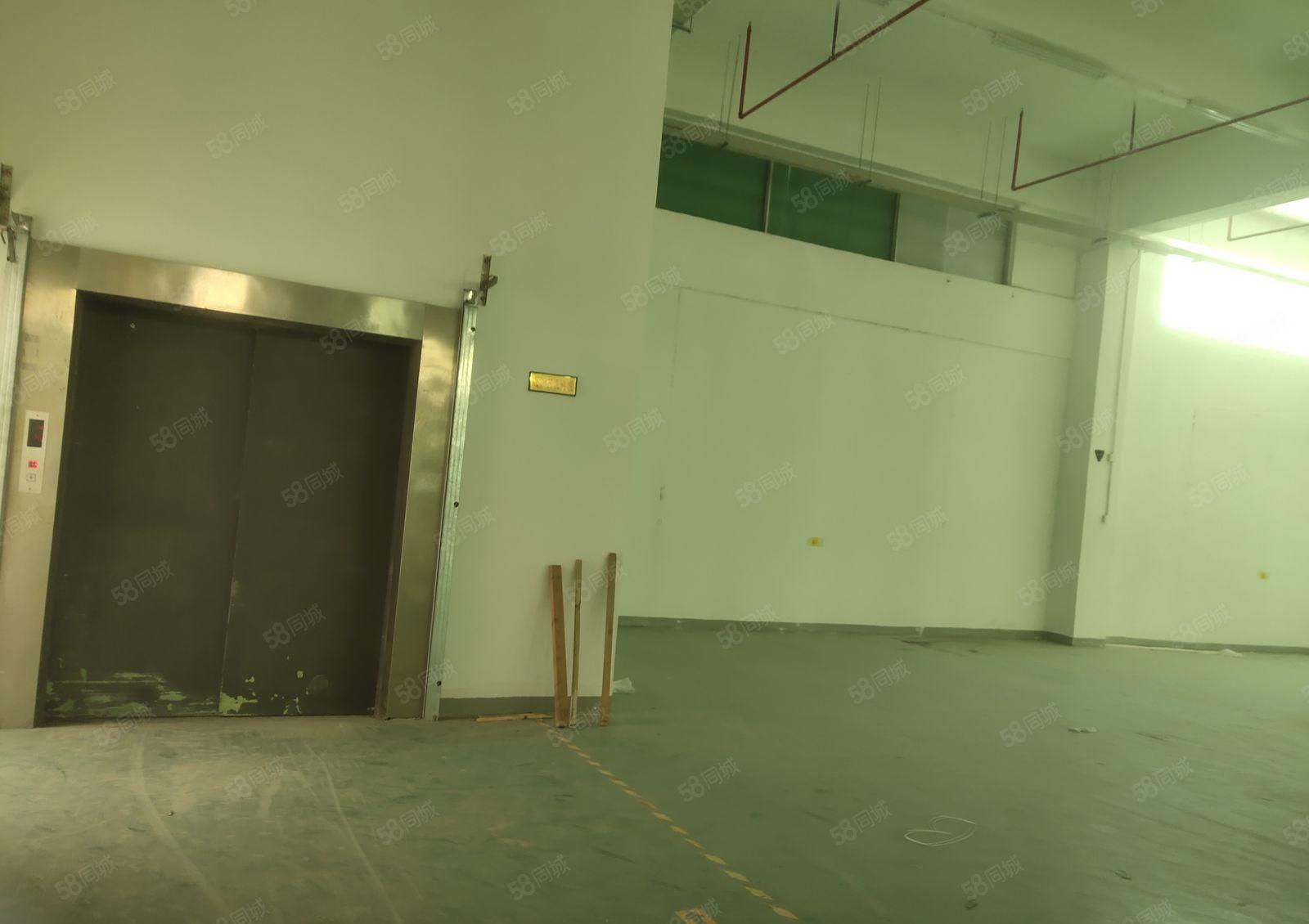 独门独院原房东出租9500平方带红本厂房