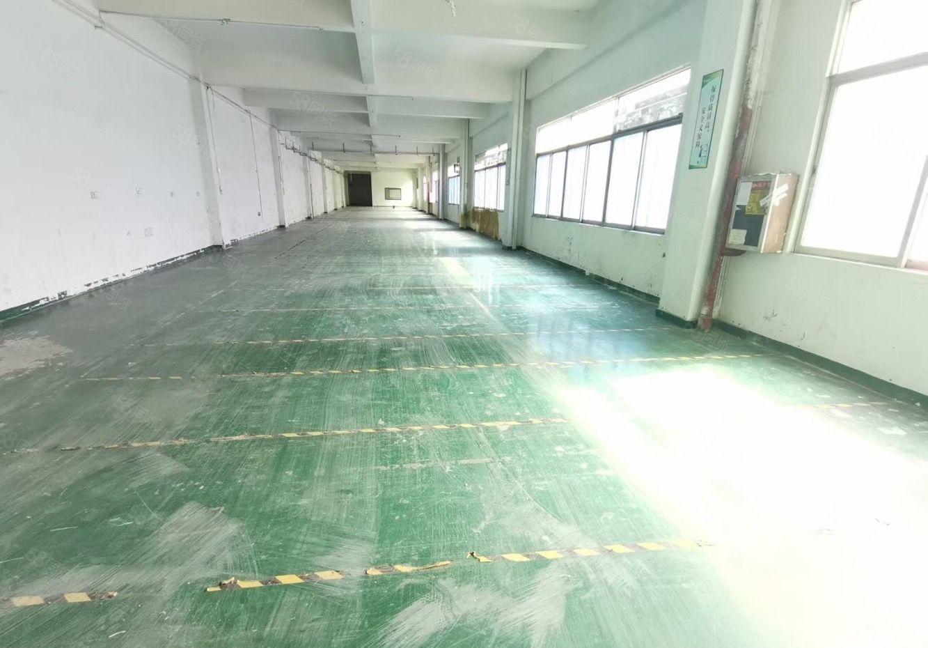 福永工业园低价厂房仓库整层3000平出租分租原房东独院