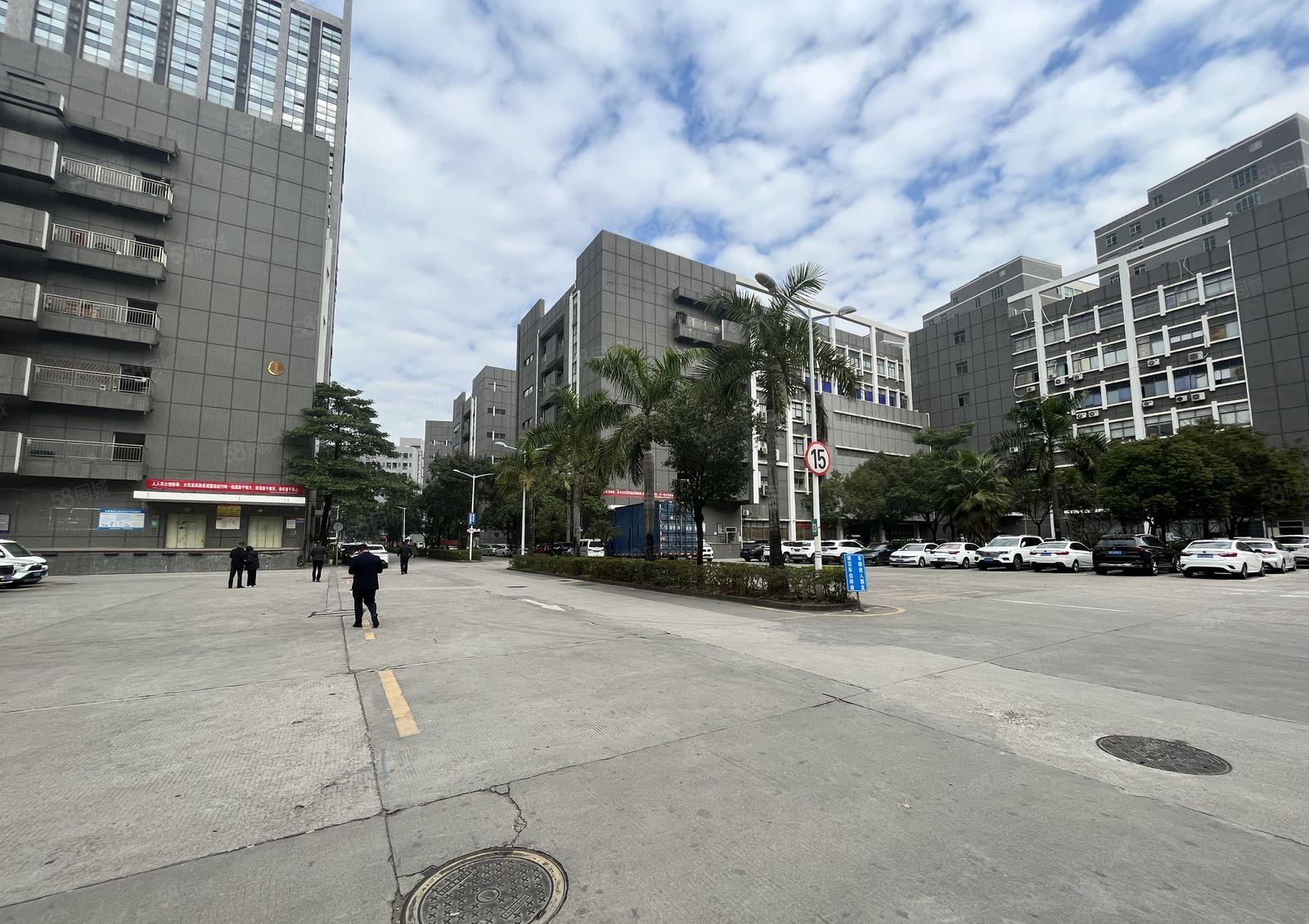 500平起分租25元起石岩原房东独院12000平厂房仓库出租