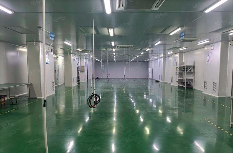 福永107国道边原房东2楼精装修1380平无尘车间厂房出租