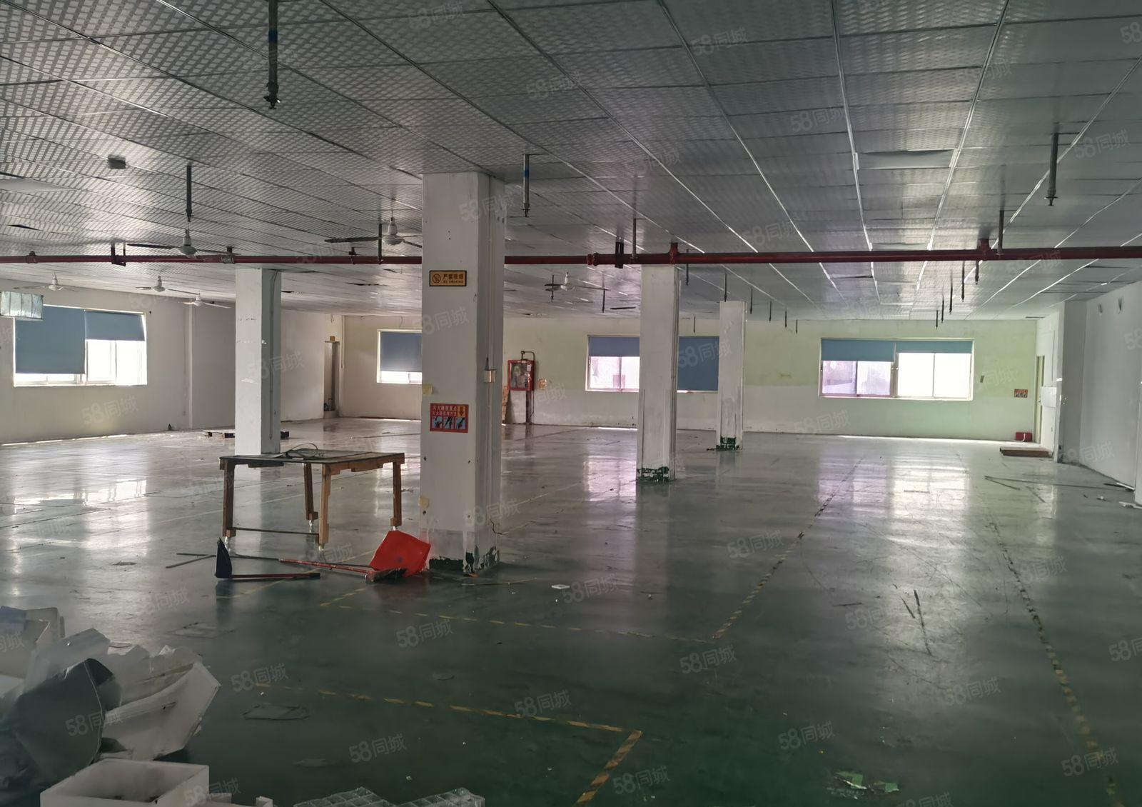 沙井沙一安托山附近工业园区独门独院楼上1500平方带精装修