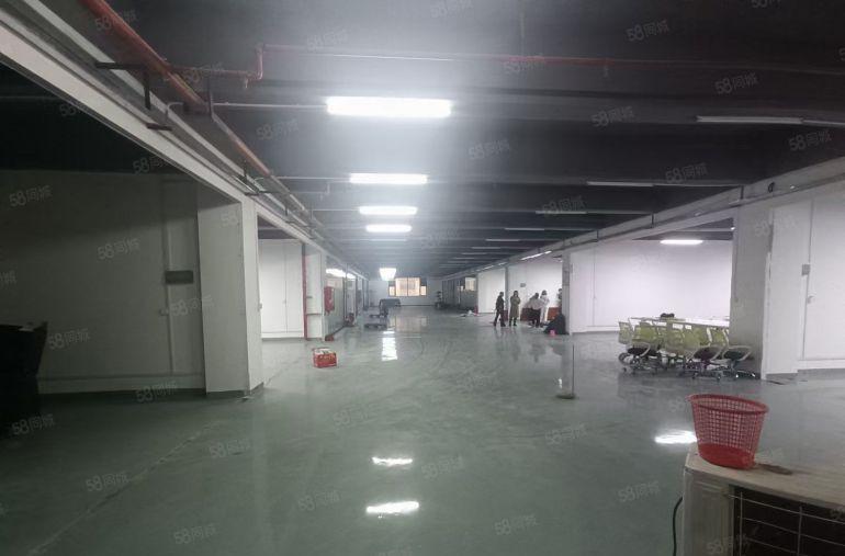 石岩美生慧谷产业园带装修办公室厂房仓库车间1500平可分租