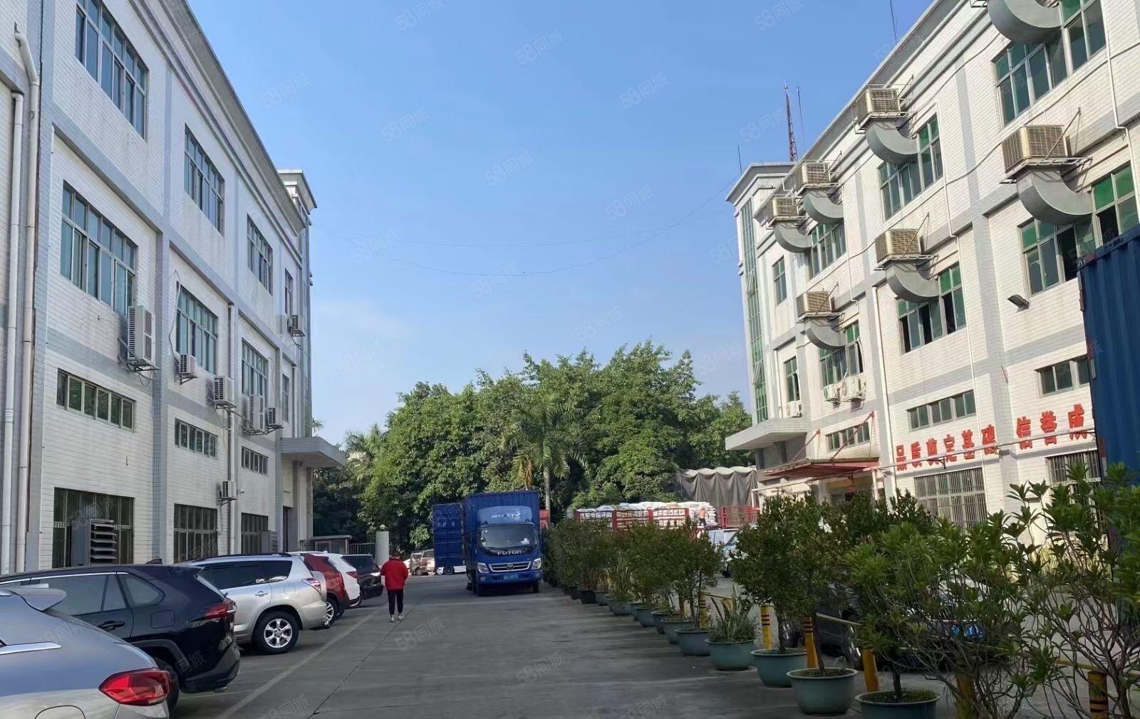 松岗燕罗新出独院一楼6米2000平方带行车