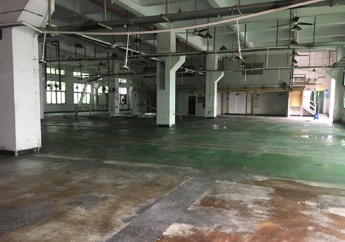 松岗新出原房东独门独院12300平方厂房招租红本