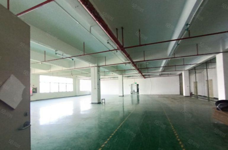 西乡固戍地铁口附近可电子医疗办公研发1000平厂房低价出租