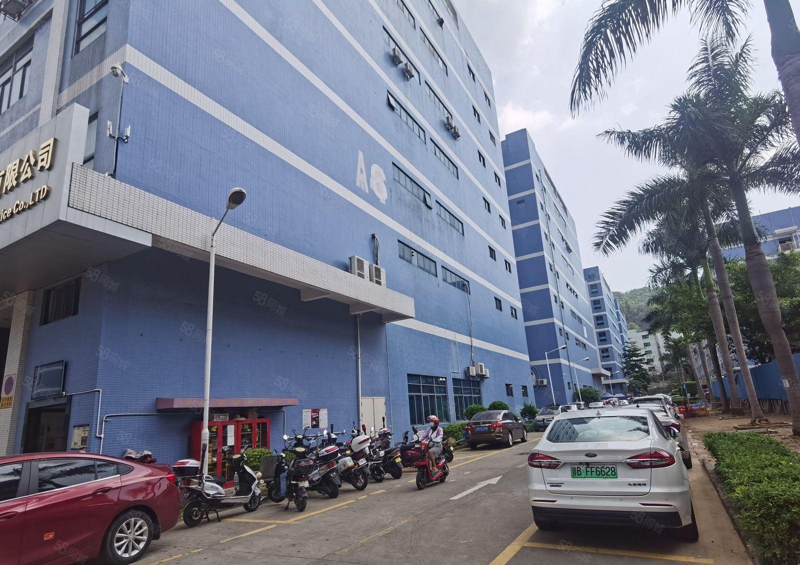 西乡固戍原房东5百1000平至2000平方产业园厂房仓库出租