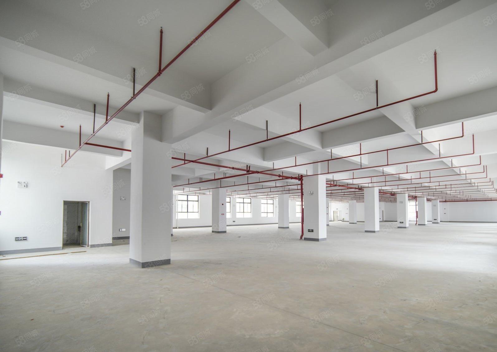 业主直租厂房形象好光明公常路980平米工业可办环评