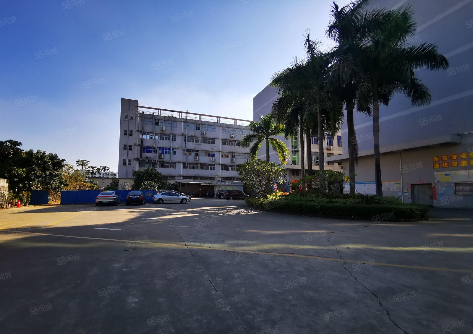 松岗中心区大型工业园独栋6000平厂房仓库出租，无公摊可分租