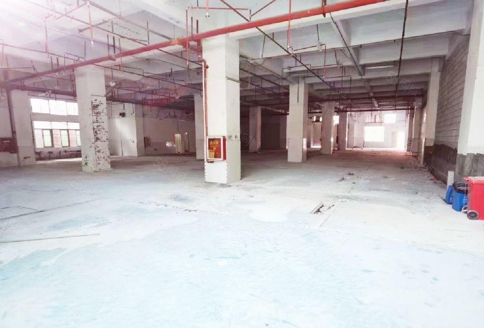 出租福永腾丰大道边上原房东厂房一楼1500