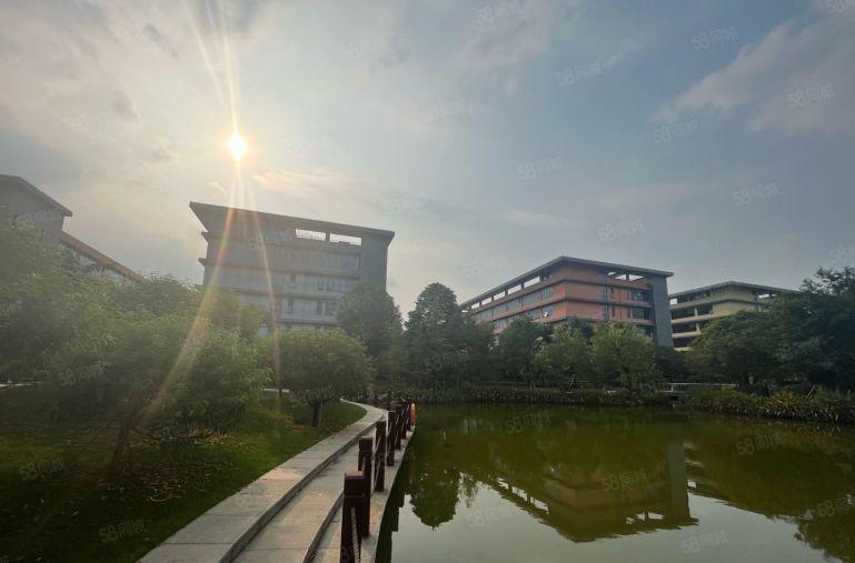 深圳国资委 独栋8000平可分租 有补贴无公摊低价厂房出租