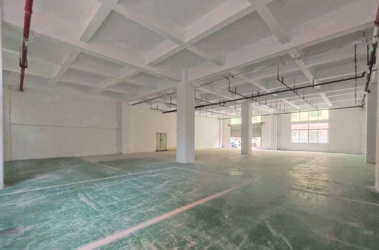 特价36元，西乡九围簕竹角，一楼带装修765平厂房，层高6米