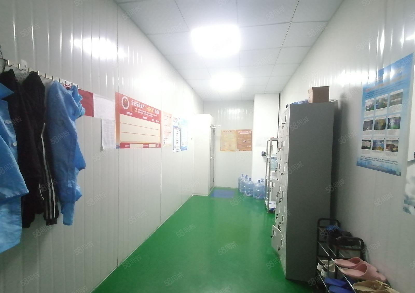 洲石路边上带装修厂房730平方招租