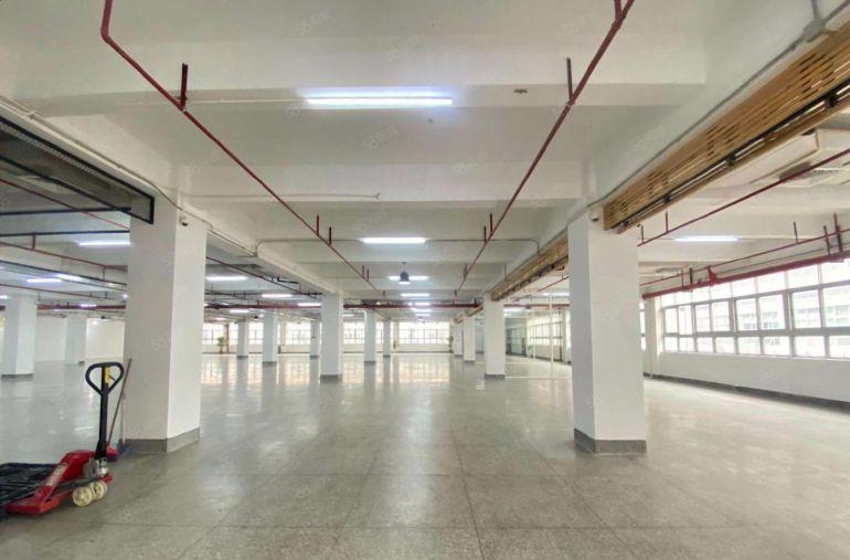 村委厂房 西乡固戍8000平高新园区生产办公研发厂房仓库