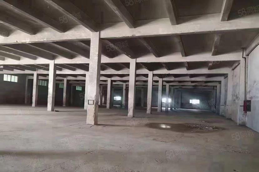 沙井新桥高速口单一层标准厂房一楼8000平米