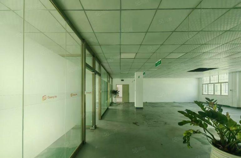 松岗红星工业区独院厂房出租 3层4500平米 高度6米可分租