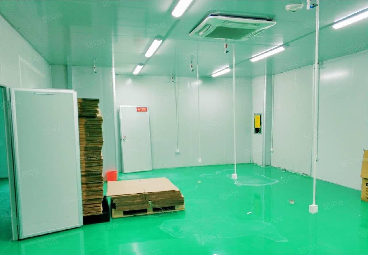 福永新出原房东独院5层9800平米厂房出租