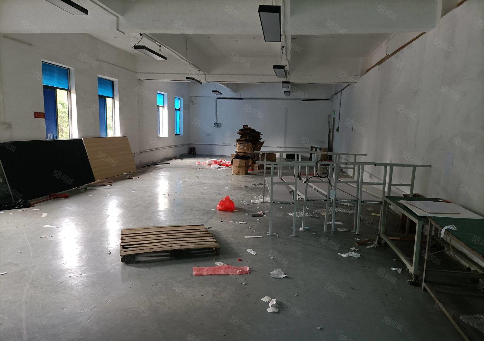 石岩罗租新出经典小户型，11格局，简单装修，玻璃门办公室