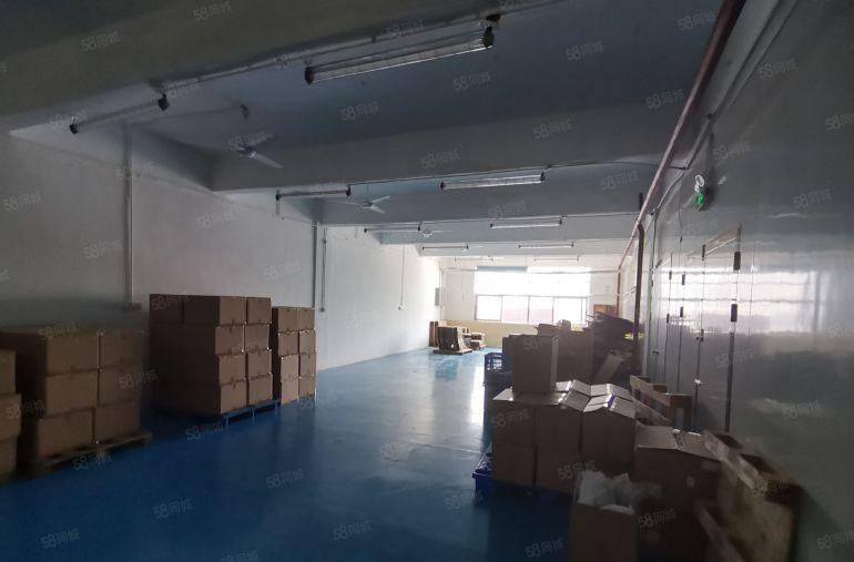沙井京基百纳附近楼上160平带装修厂房出租