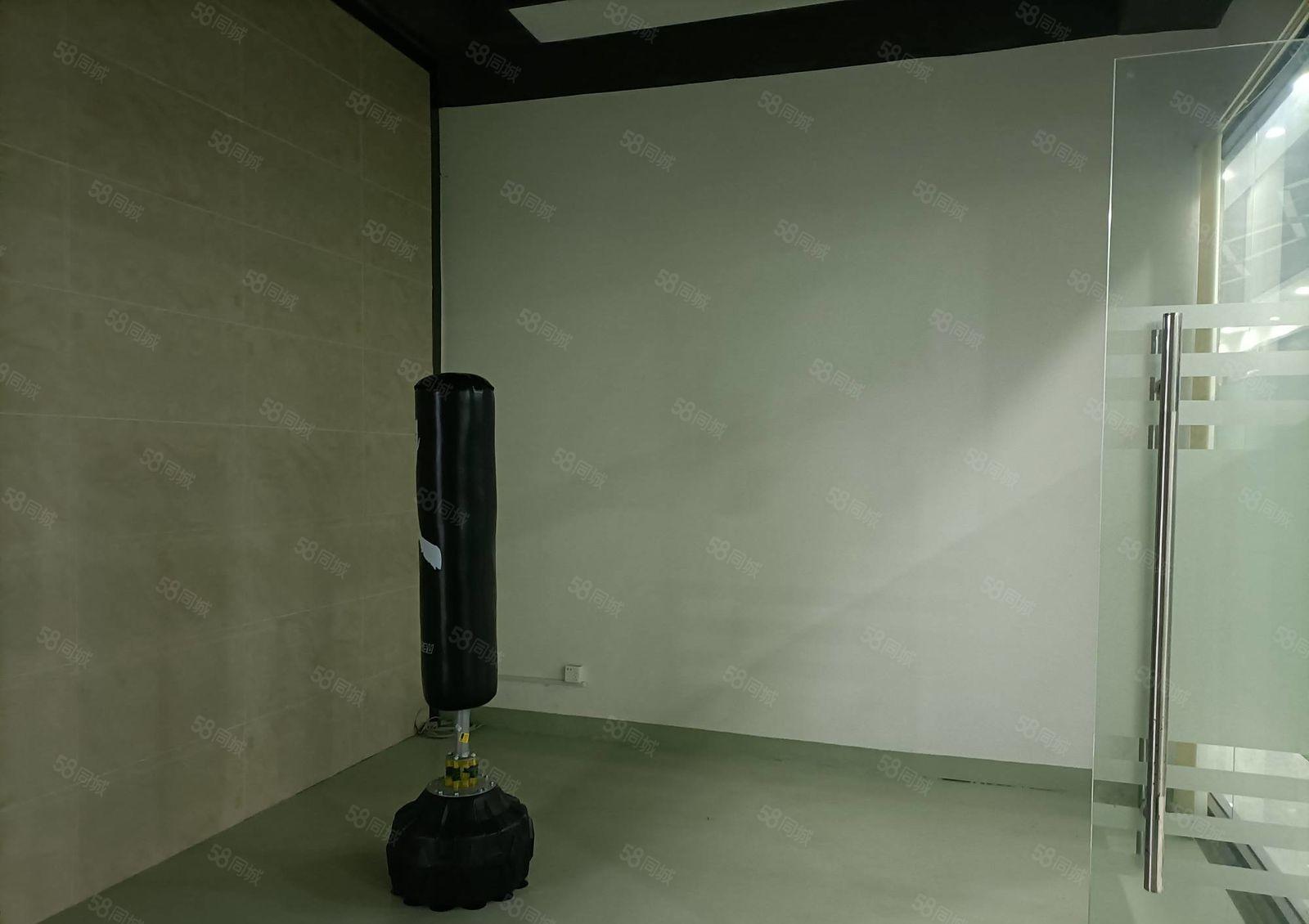 石岩北环高薪园区新出450平厂房出租，带装修无转让费