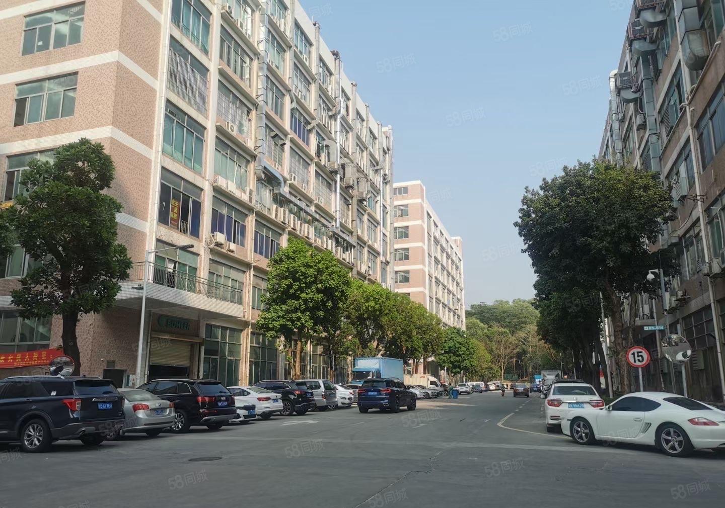 西乡大型标准红本厂房带精装修1750平出租。