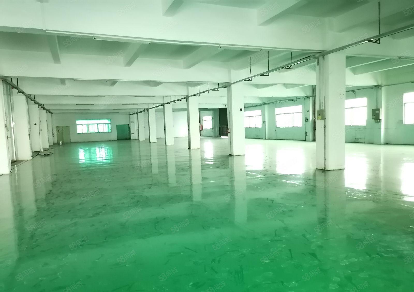 沙井大王山1500平全新厂房出租