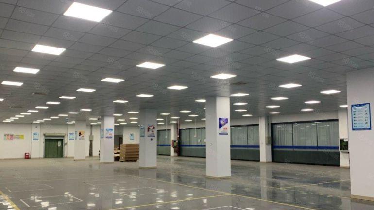 石岩一楼厂房出租内空400至2000平带装修工业园原房东