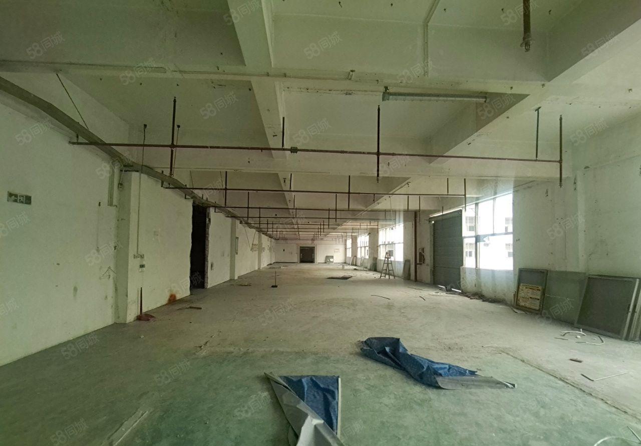 松岗地铁口旁独门独院21000平厂房出租，可分租，正在翻新