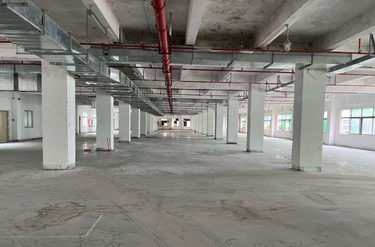 西乡固戍大型工业区厂房2500平米出租1250平起租