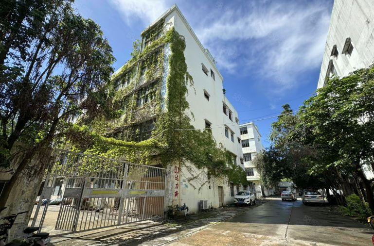 石岩罗租独栋独院2000平至4000平厂房出租 仓库出租