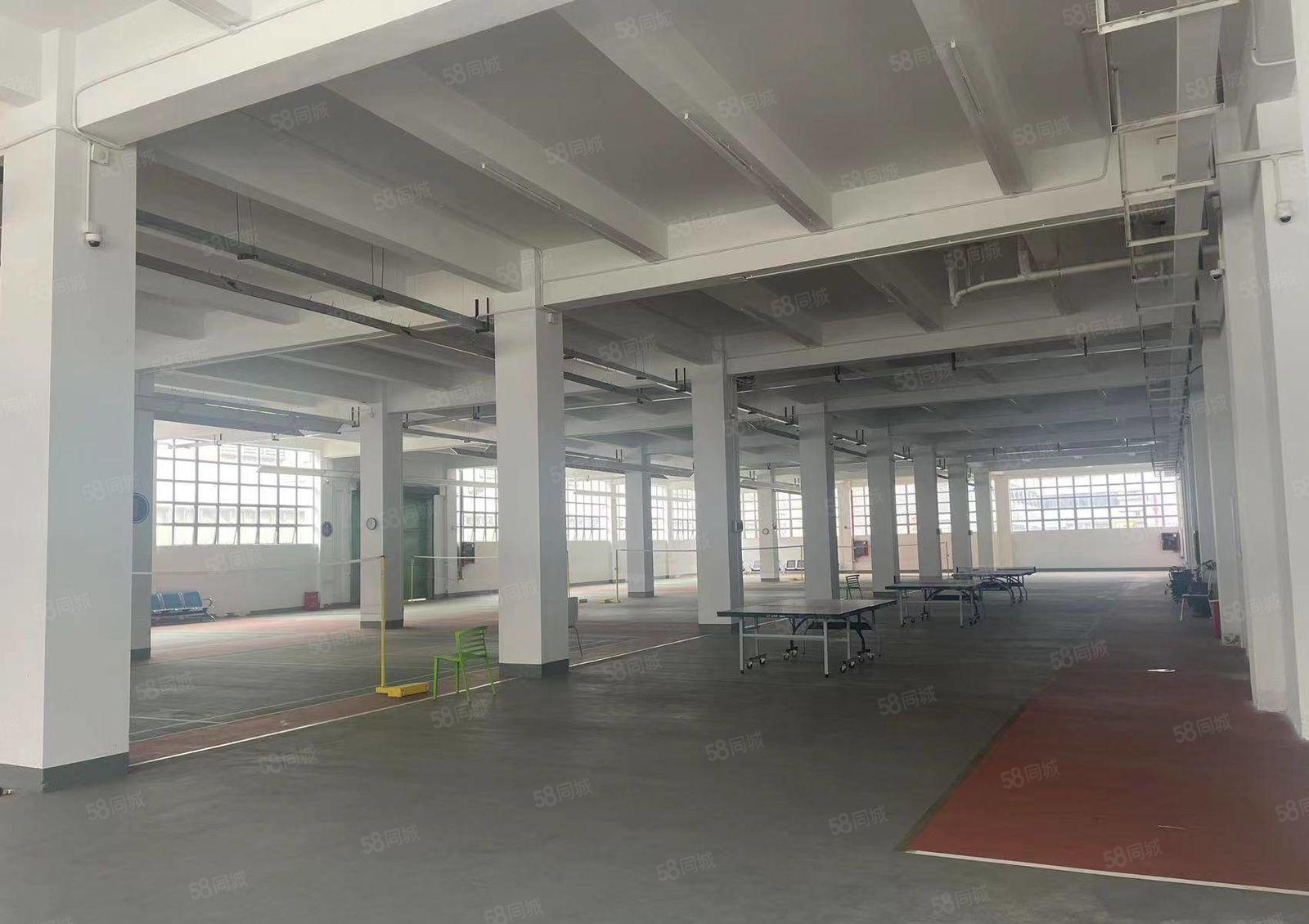 沙井后亭500平至2000平精装修一楼与楼上低价仓库厂房出租