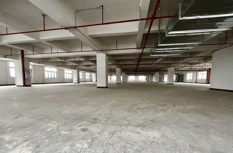 后亭步涌共和大型工业园区厂房60000平方出租500起分租