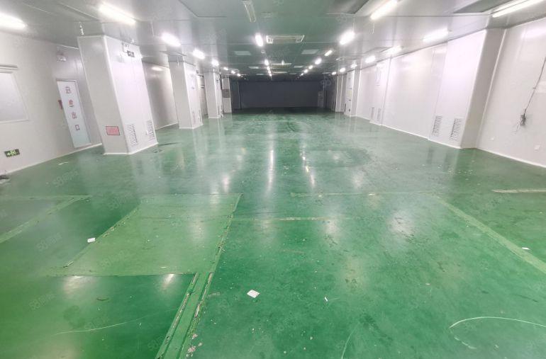 福永107国道边原房东1500平米精装修无尘车间厂房低价出租