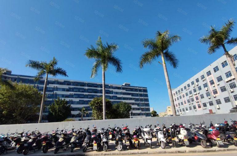 石岩塘头工业园区1000平方原房东带红本厂房仓库出租可分租