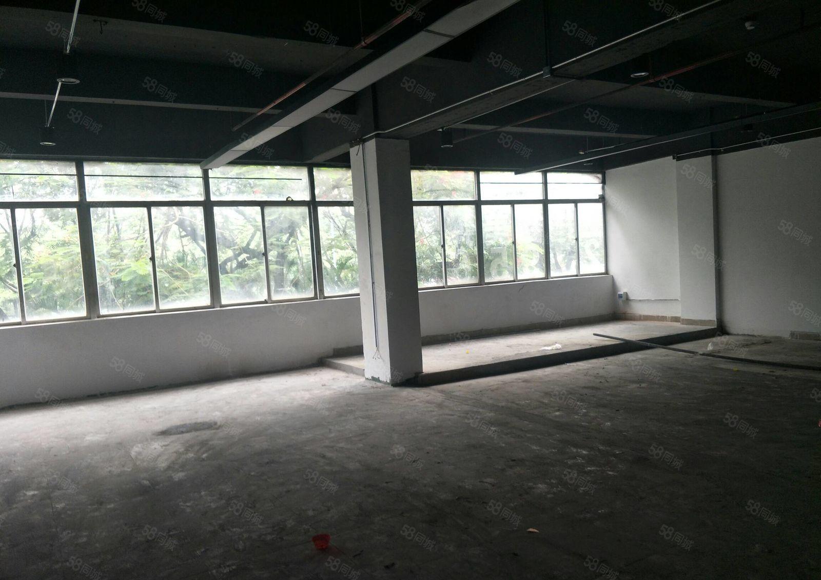 宝安西乡臣田大型工业园标准厂房出租300平