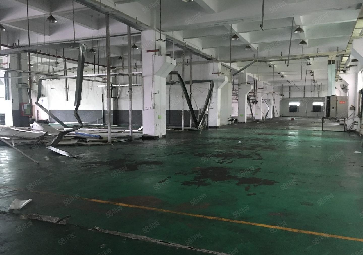 松岗新出原房东独门独院12300平方厂房招租红本