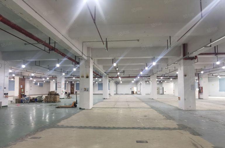 沙井大王山 原房东楼上带装修厂房3300平 3吨大货梯