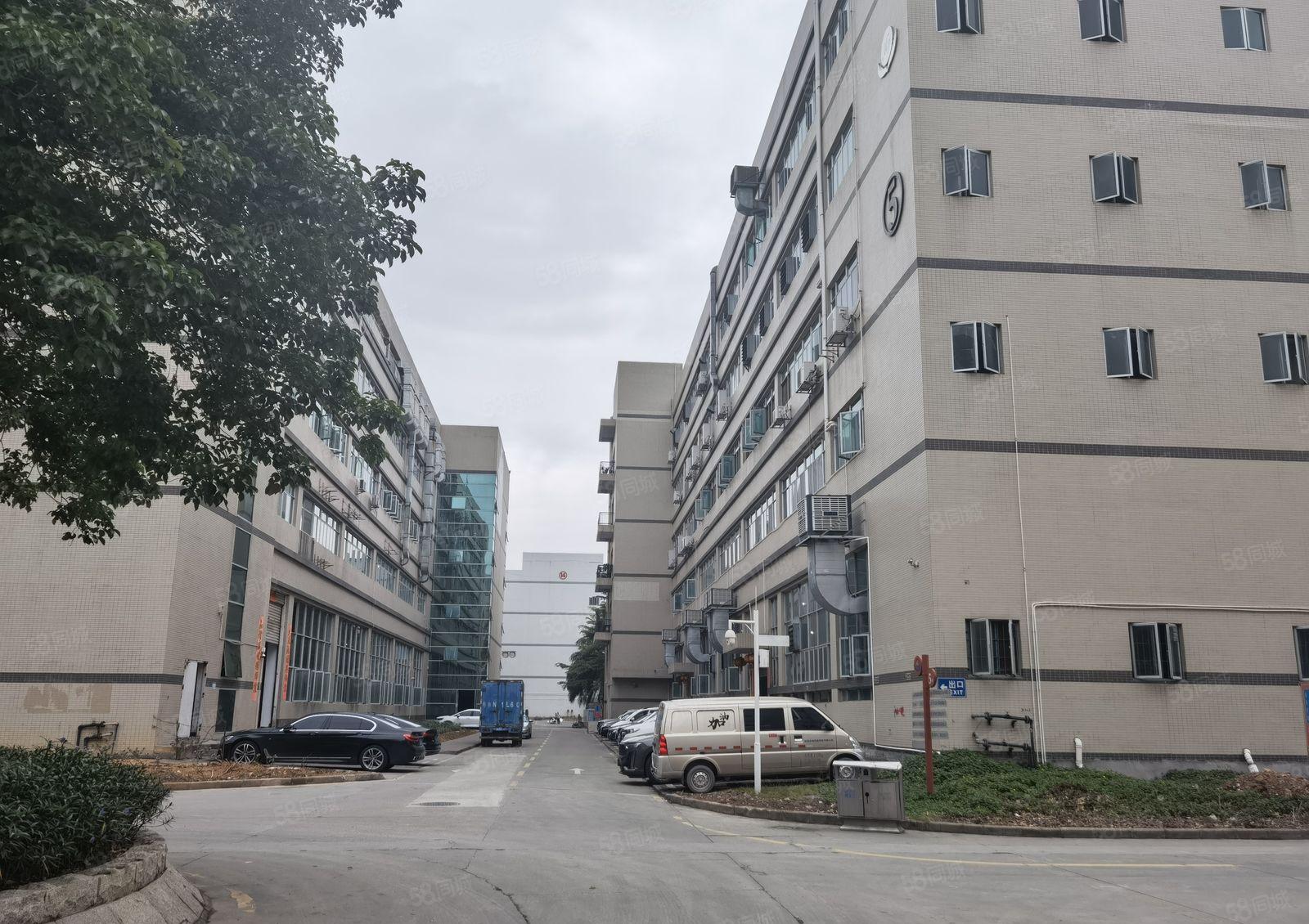 沙井共和恒明珠工业园5200平方厂房出租500平方起分租