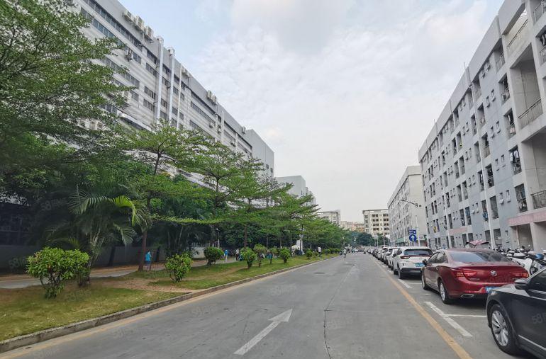 福永塘尾原房东带红本独院14000平米厂房低价出租可办环评