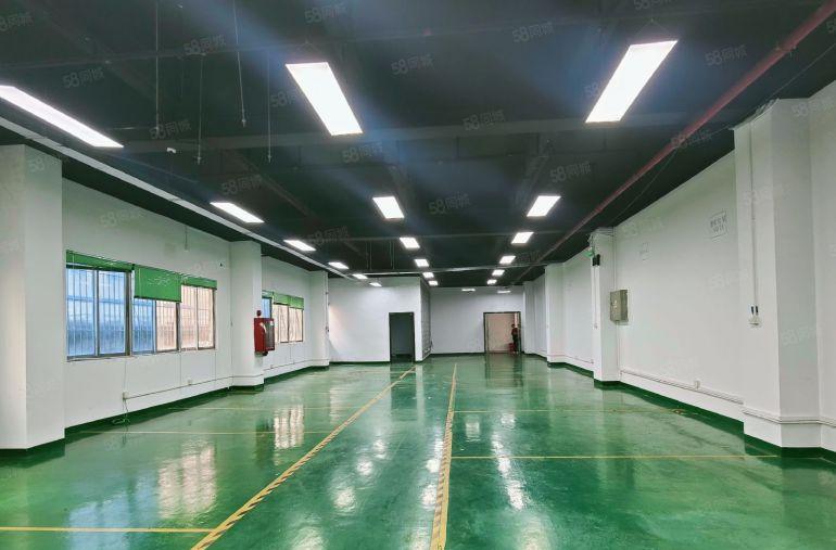 一楼564平38元每平地铁口大型园区全新靓装实惠实用