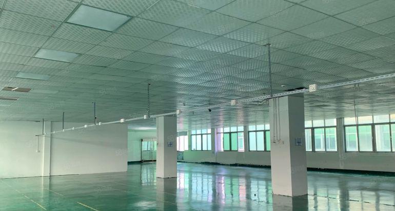 低价厂房出租石岩地梯口原房东工业园单层1000平带精装修