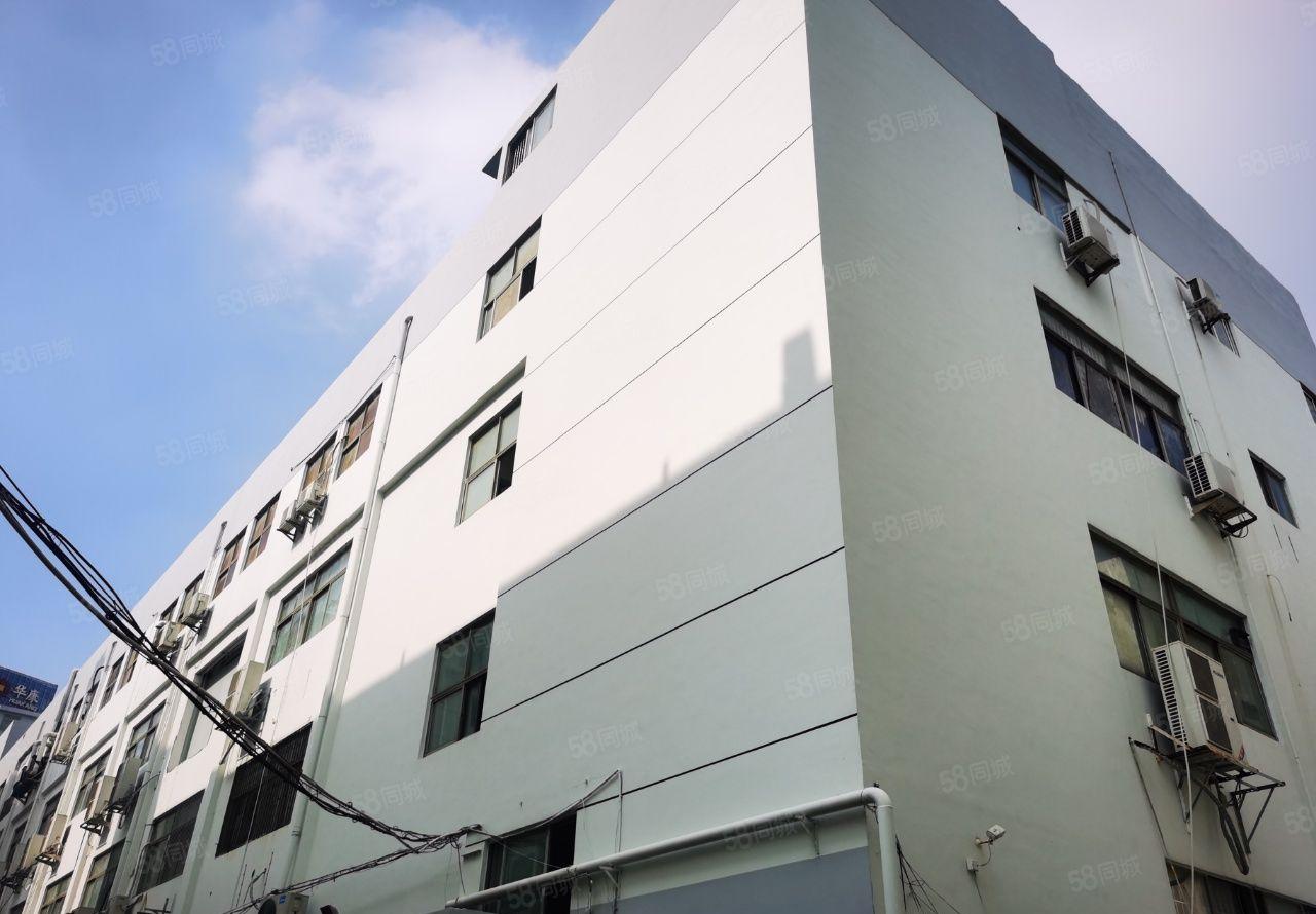 西乡桃源居独院厂房 整层1705平米带装修 光线通透交通好