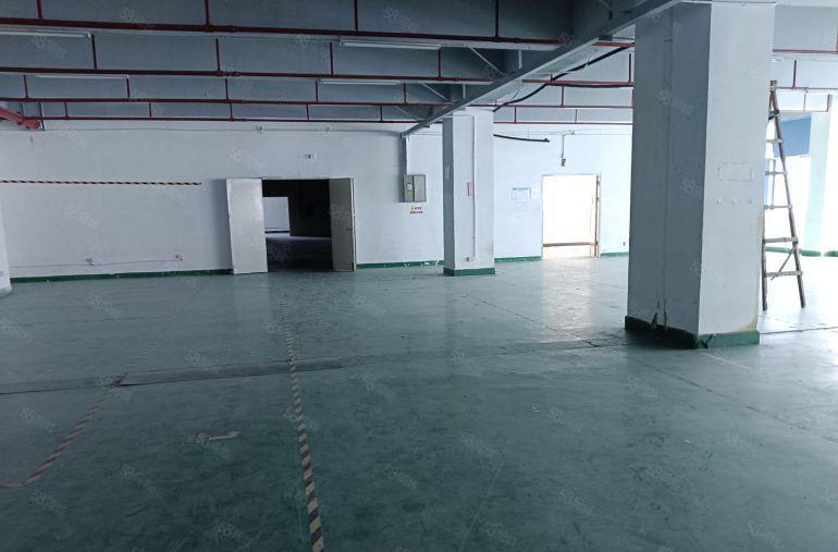 固戌原房东楼上精装修1050，1350，1800，3500平