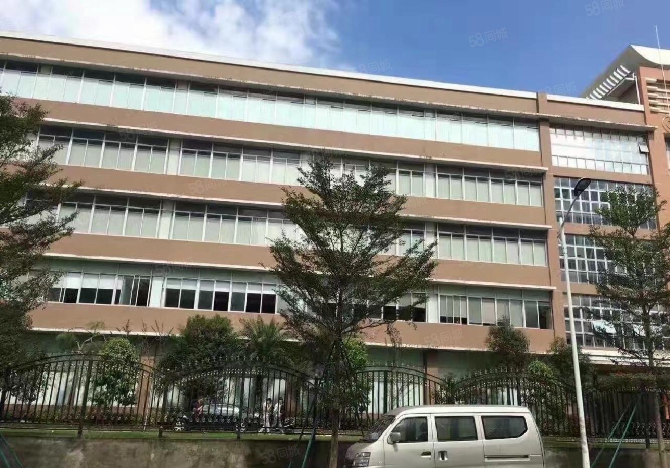 松岗高新园200平至整层3200平办公室一楼仓库厂房出租