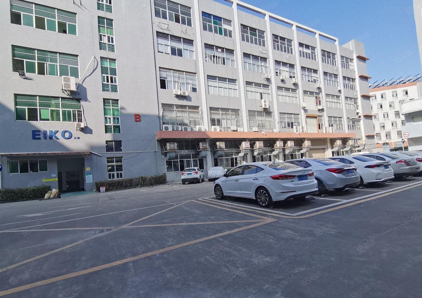 石岩高速路口原房东12000平方独门独院仓库厂房出租可分租