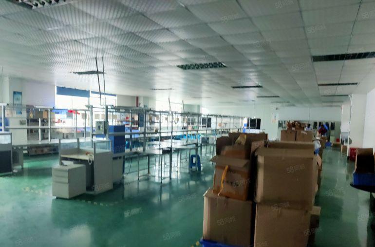 福永原房东1000平带装修厂房出租可分租