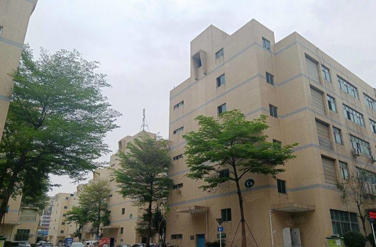 石岩石龙仔工业区2000平标准厂房出租仓库招租大小面积可分租