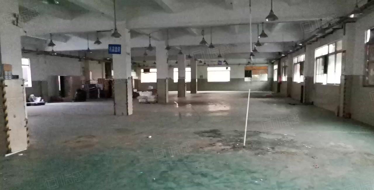 西乡洲石路旁独院分租一楼300平快递物流仓储可进出17米拖头