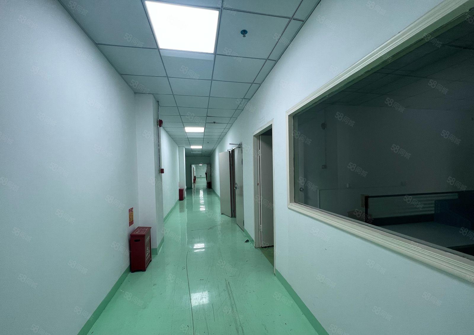 地铁口办公室 半层1010平带装修 适合办公仓储 组装